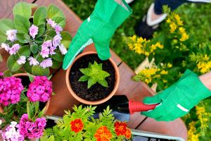 should i use potting soil when planting a flower bed