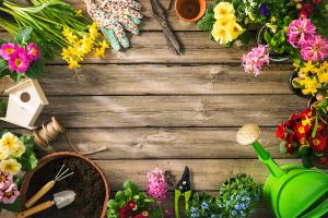 how long to water plants with barkdust