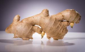 How does ginger promote germination