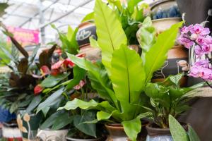 how to keep outdoor potted plants from blowing over