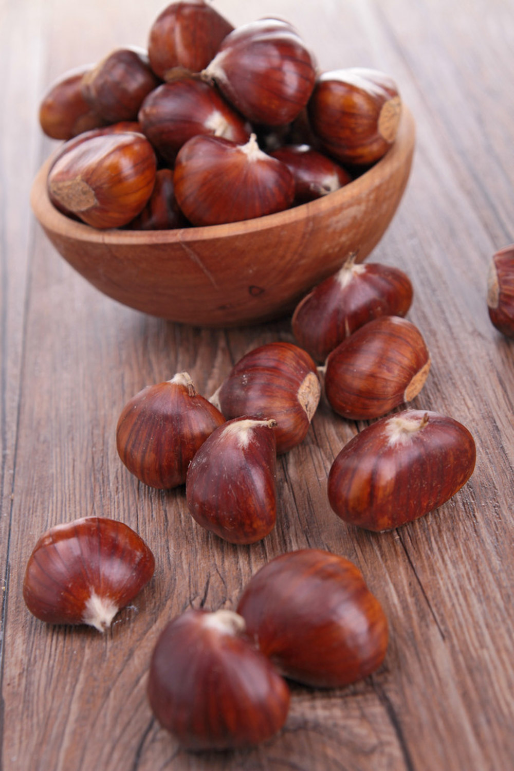 Chinese chestnut