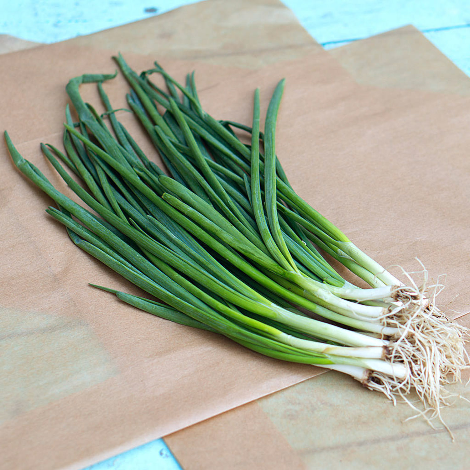 Scallion