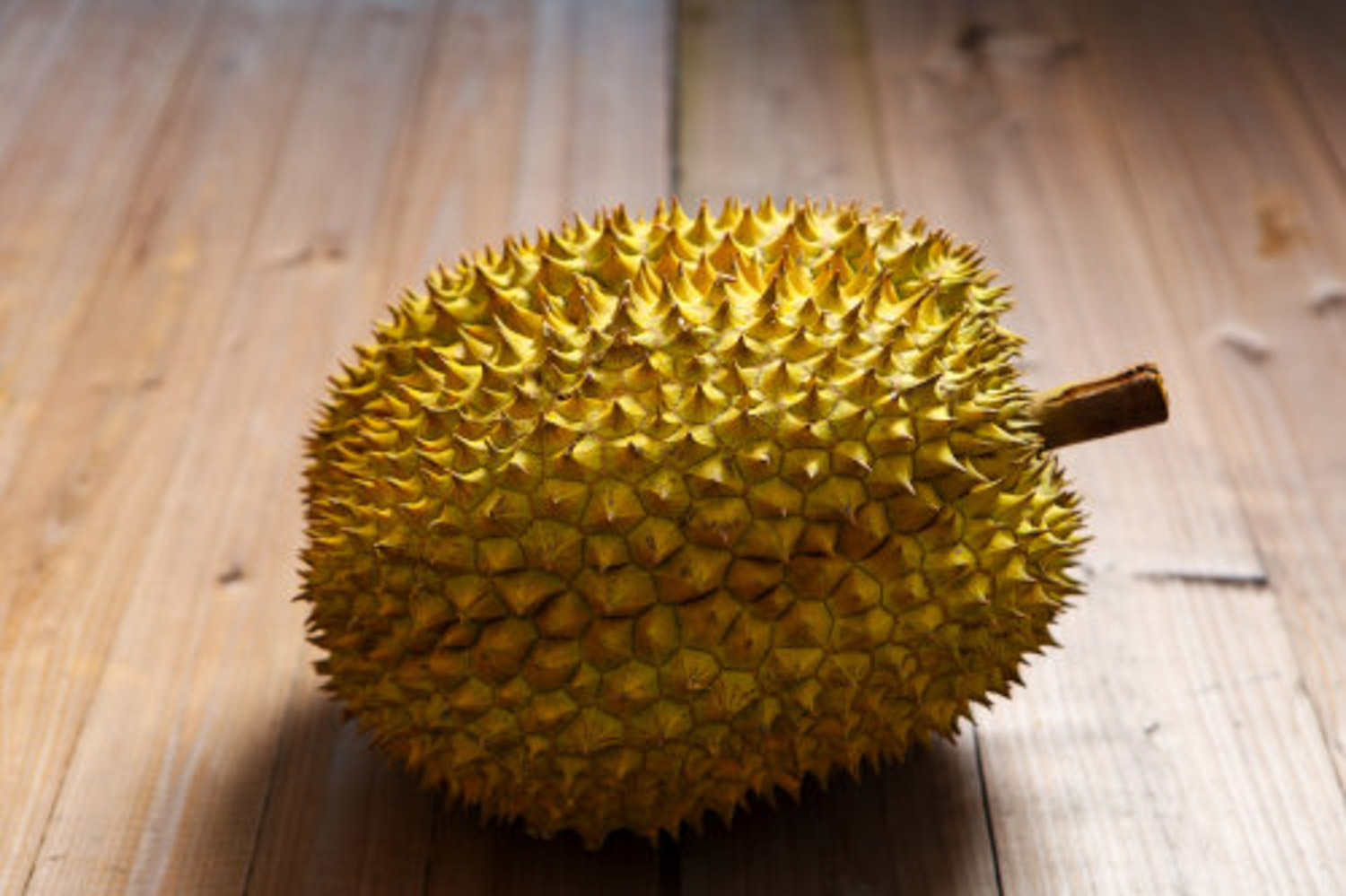 Durian