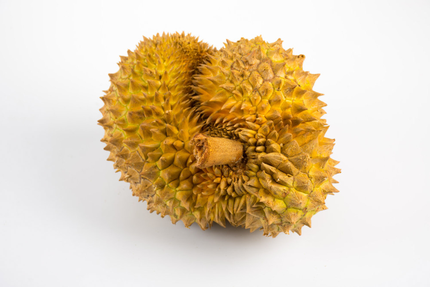 Durian