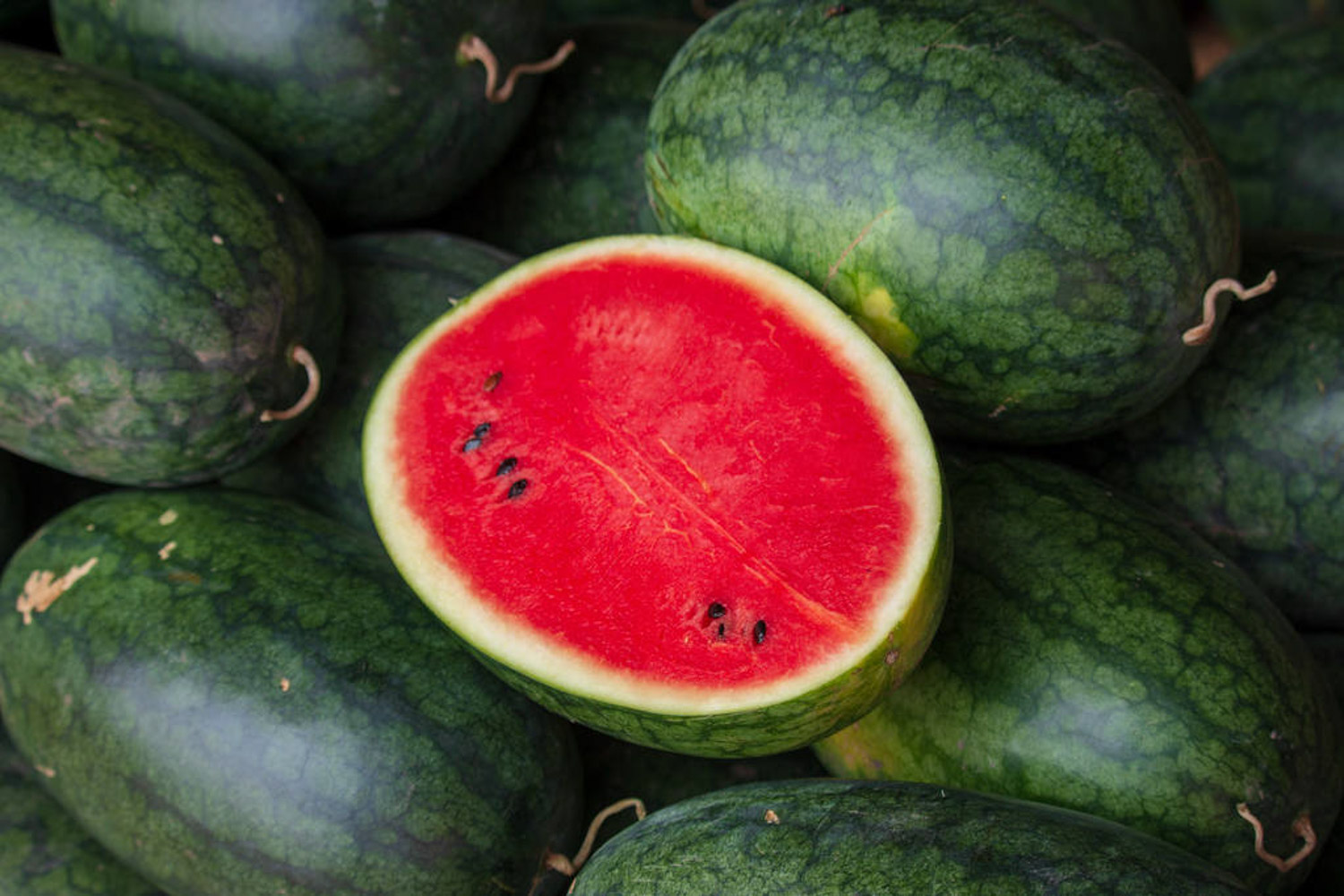 watermelon