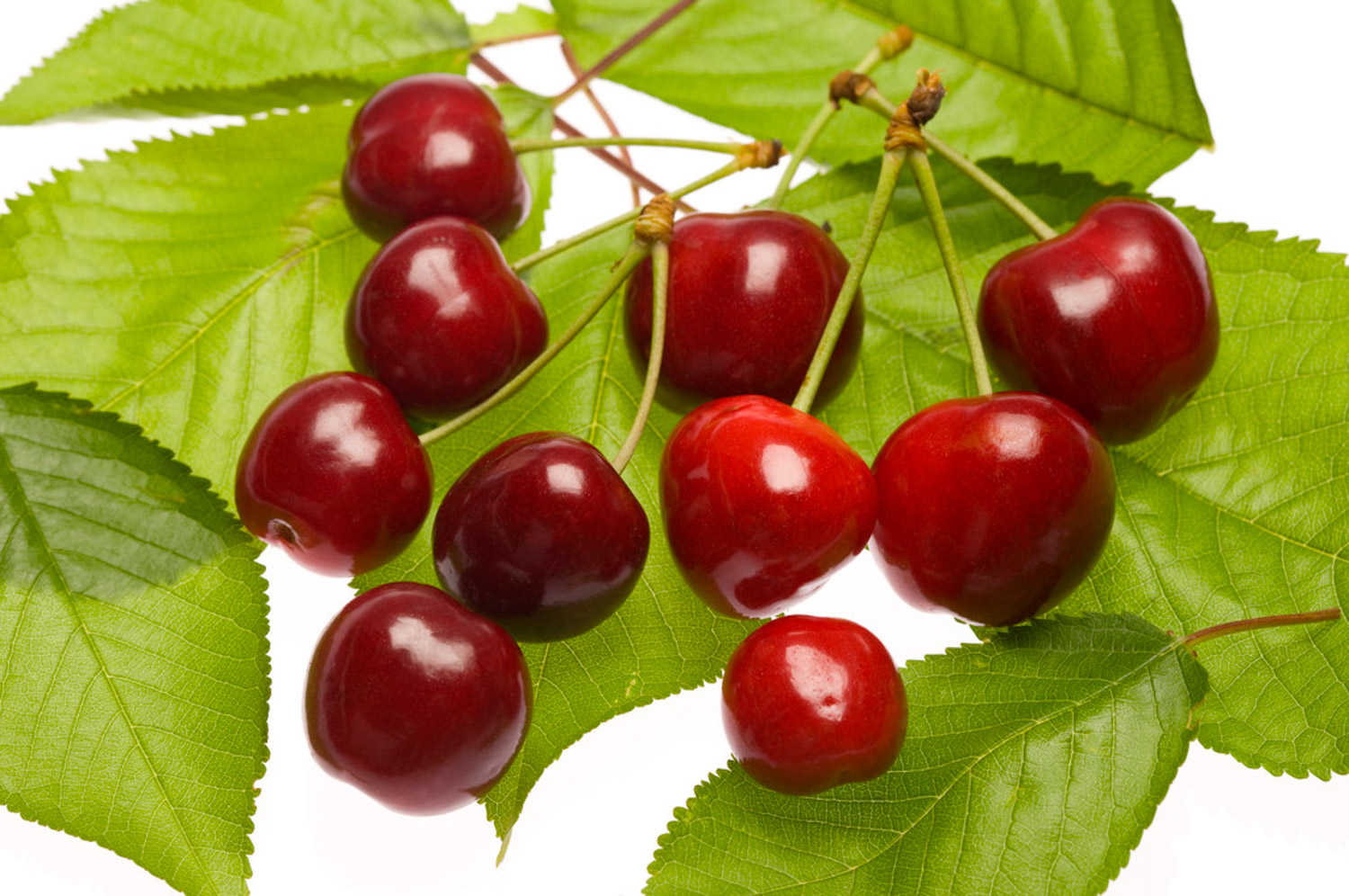 Cherry