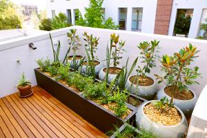 how long between watering indoor potted plants