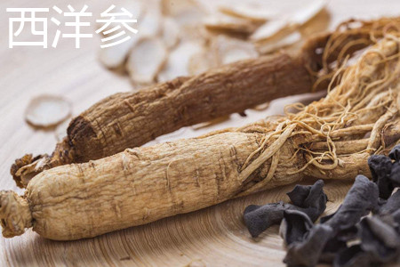 American ginseng root