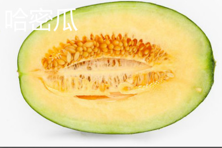 Hami melon