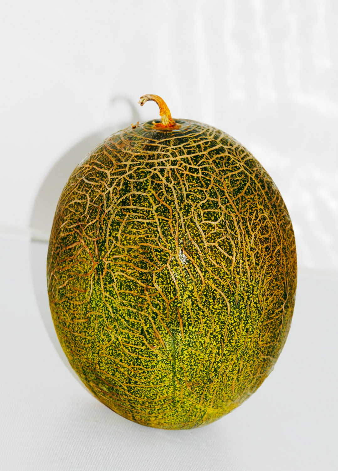 Hami melon