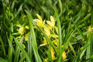 how often water plants in hot weather