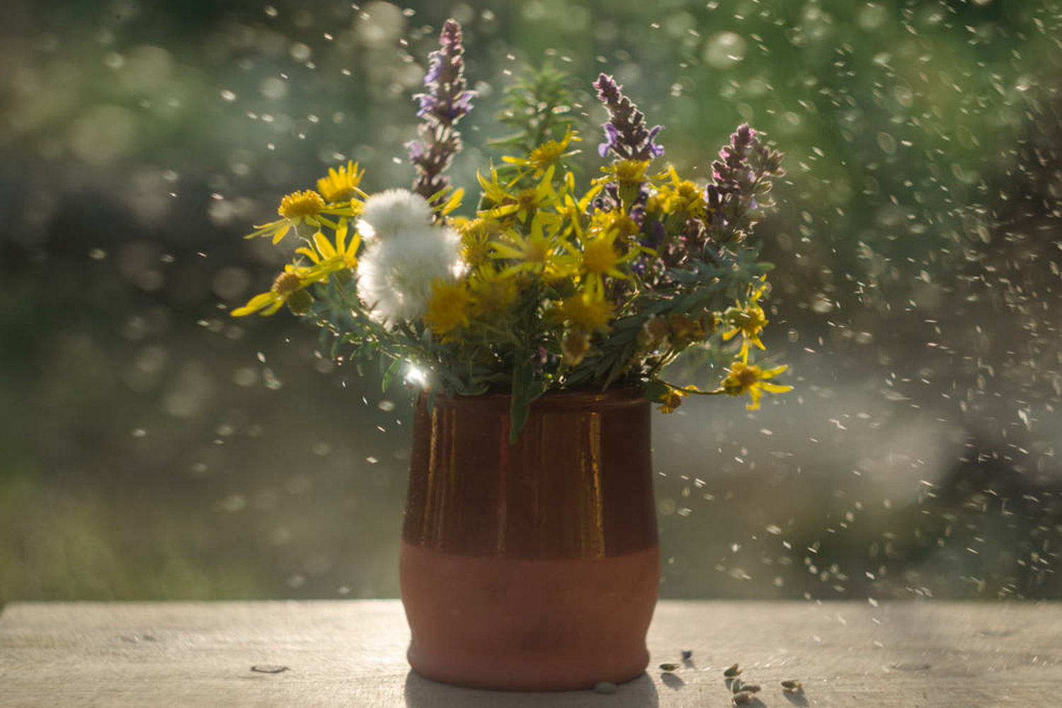 Fresh cut flowers