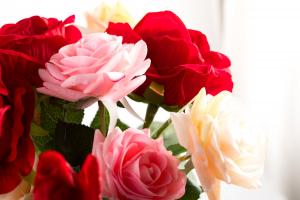 Who says you can't grow flowers without a yard? These 8 kinds of small roses, plant 1 full balcony!