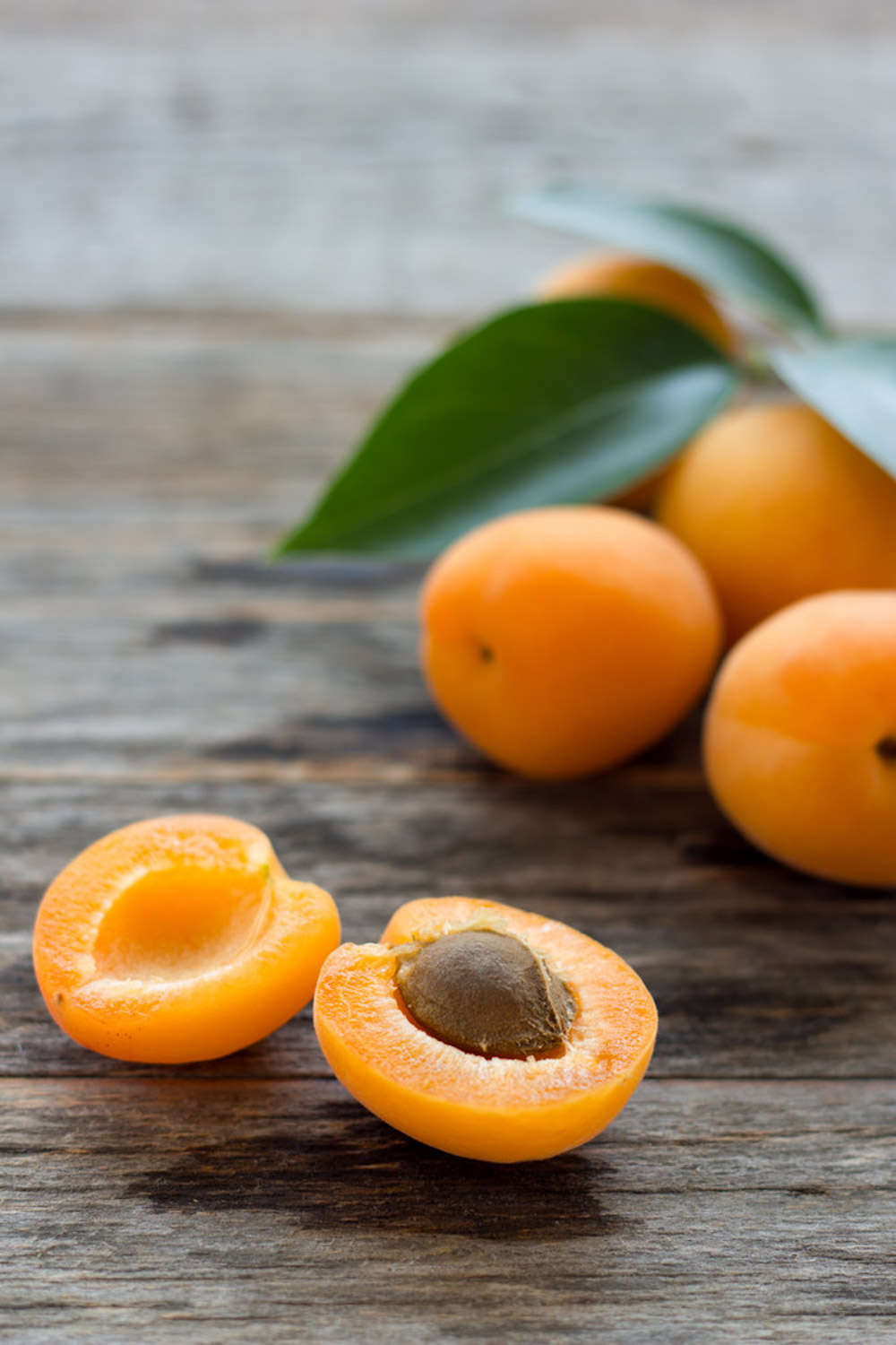 apricot