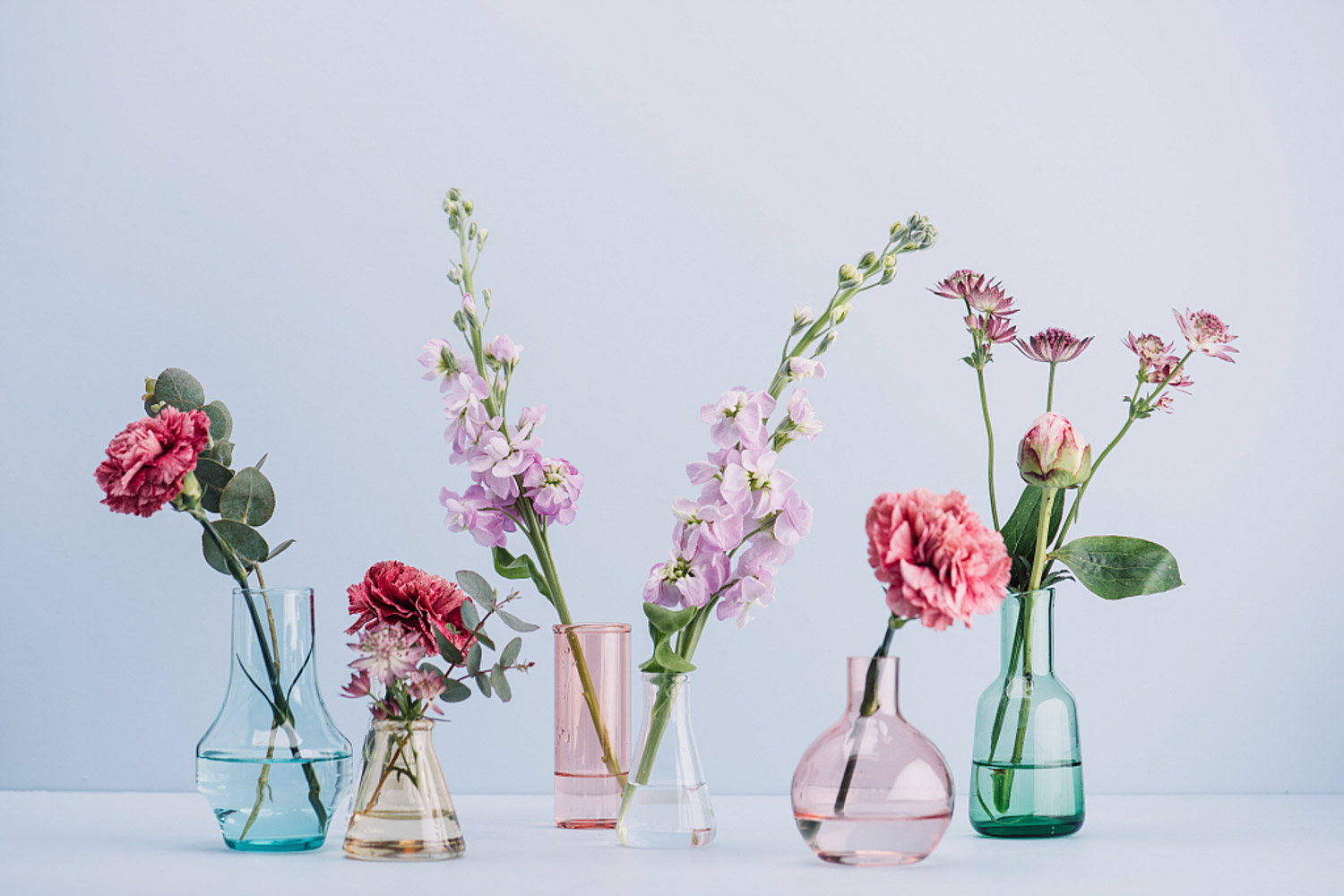 Fresh cut flowers