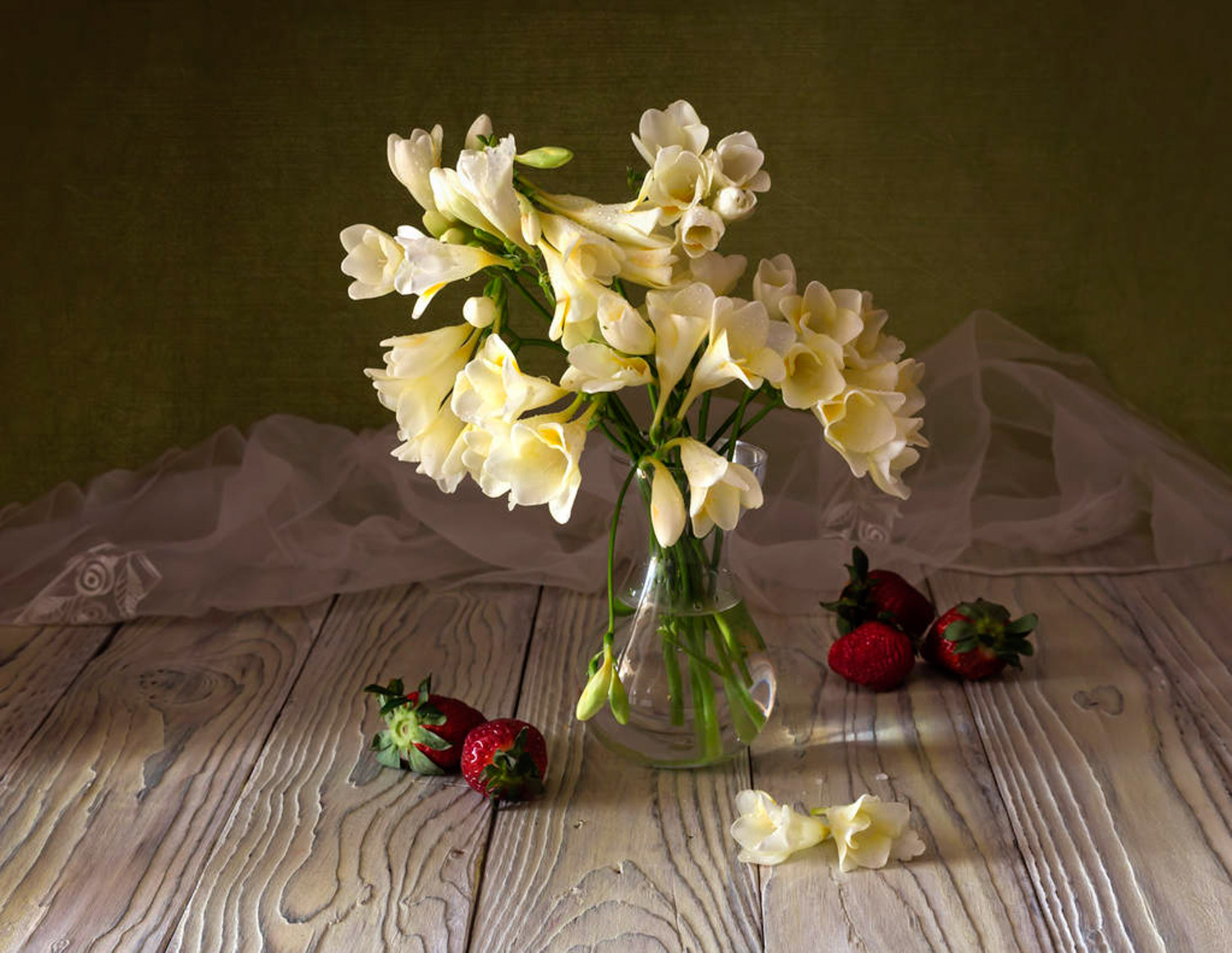 Fresh cut flowers