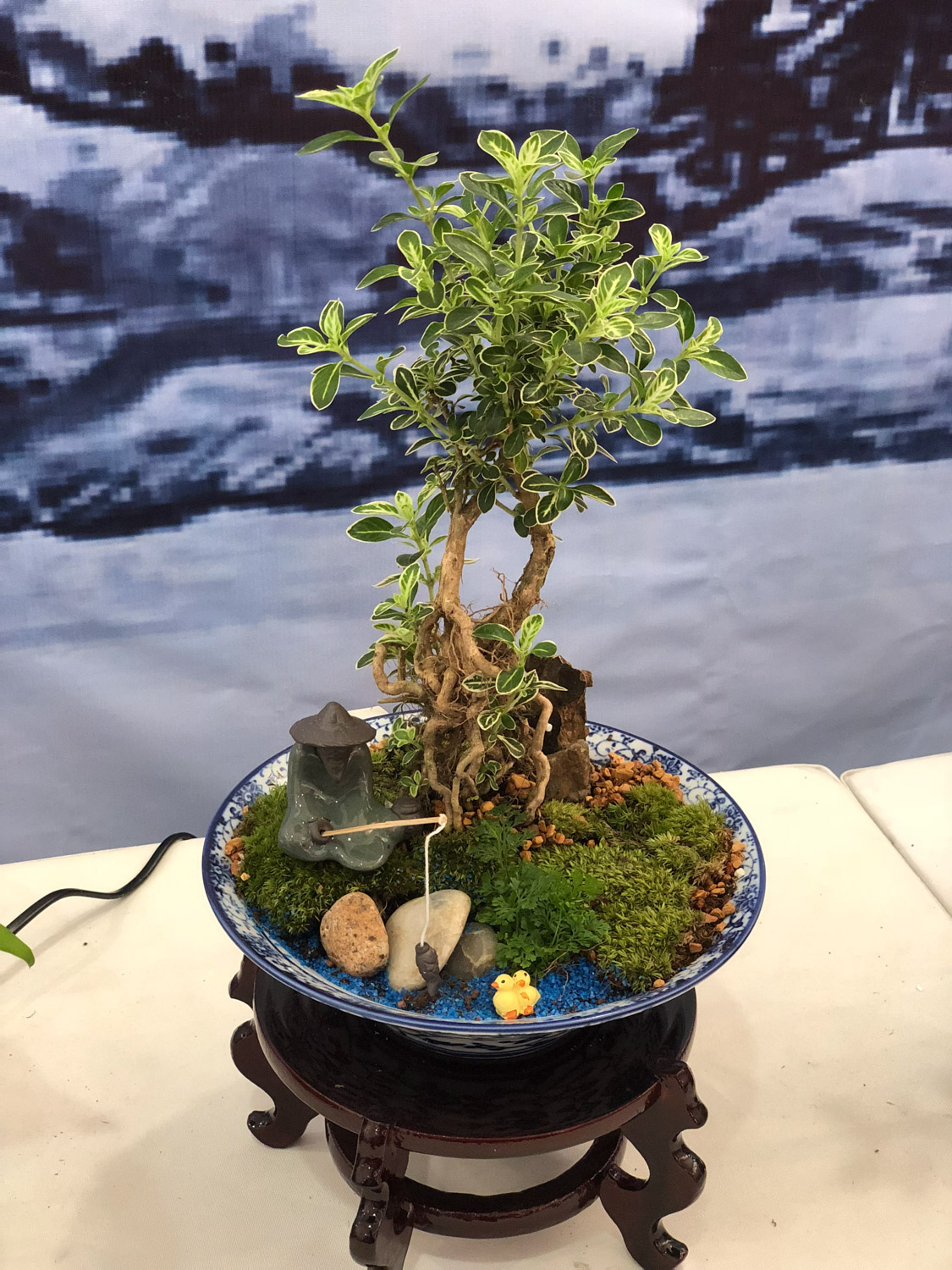 bonsai