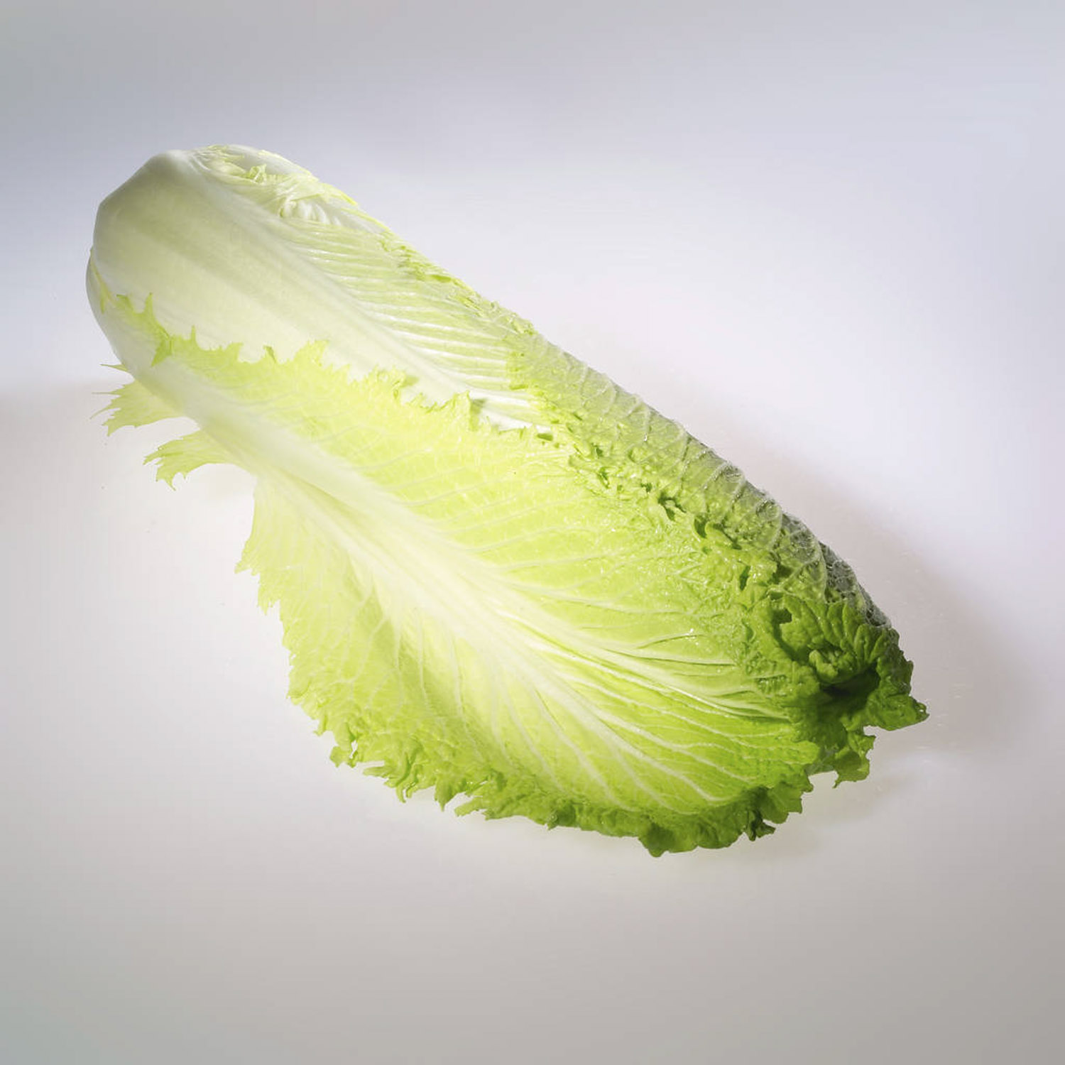 Chinese cabbage