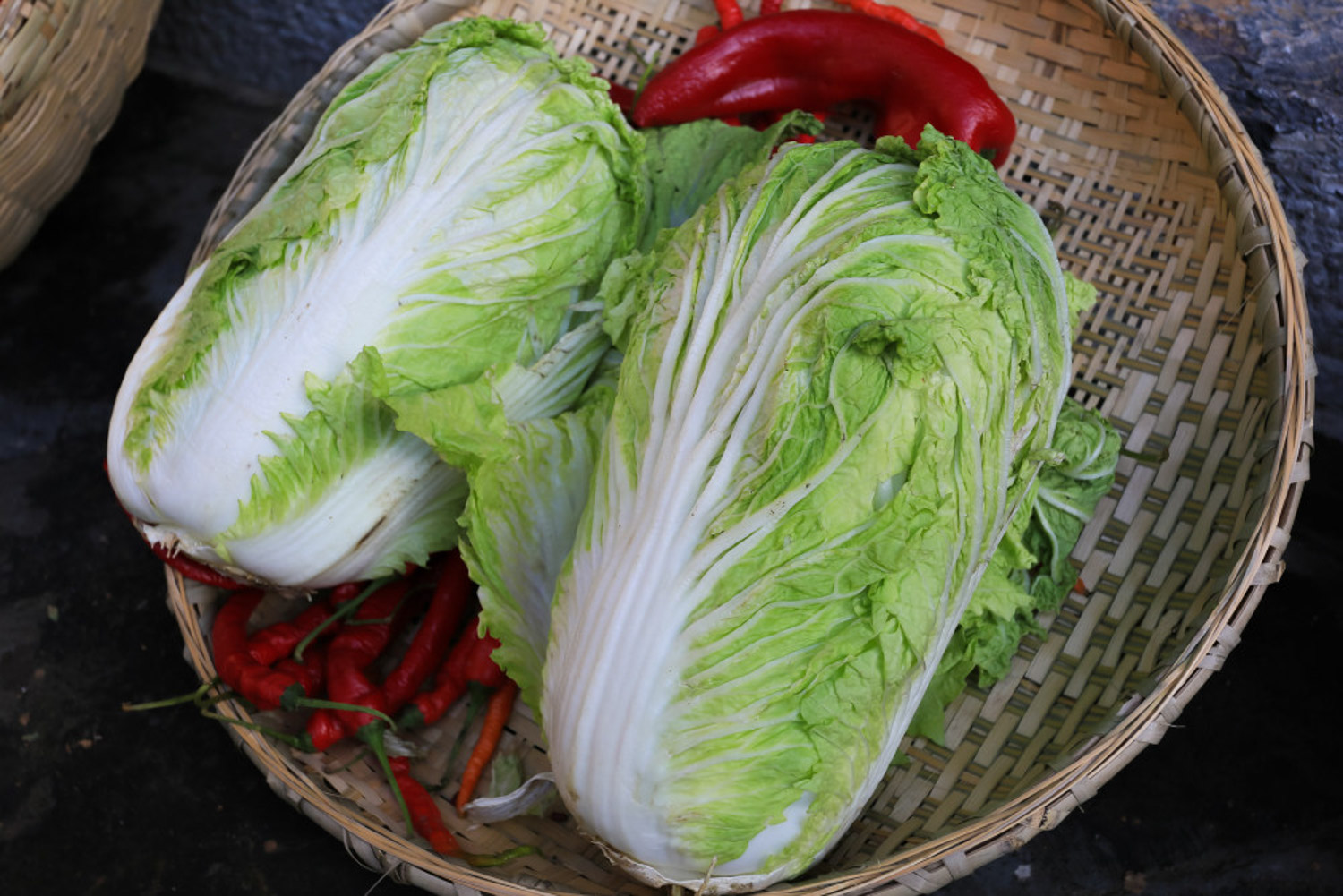 Chinese cabbage