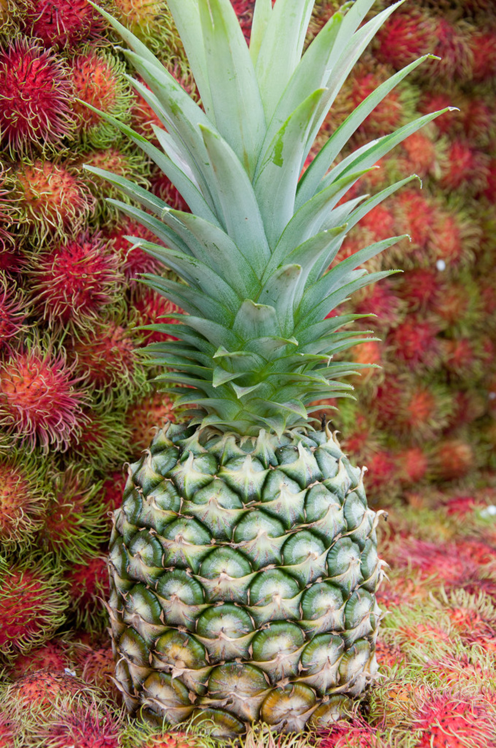 pineapple