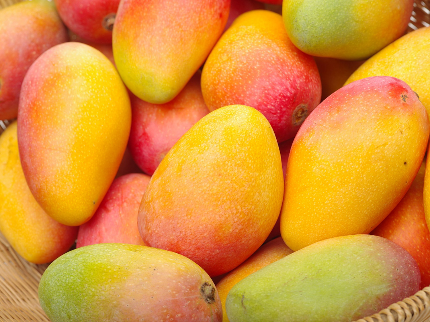 Mango