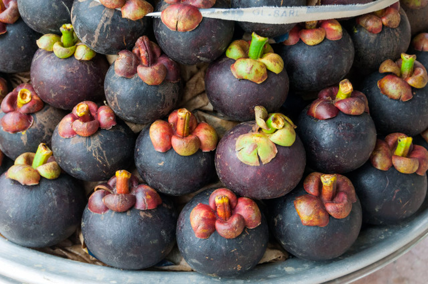 Mangosteen