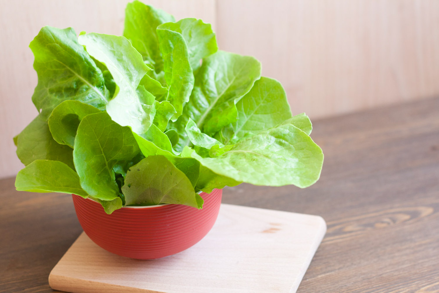 romaine lettuce