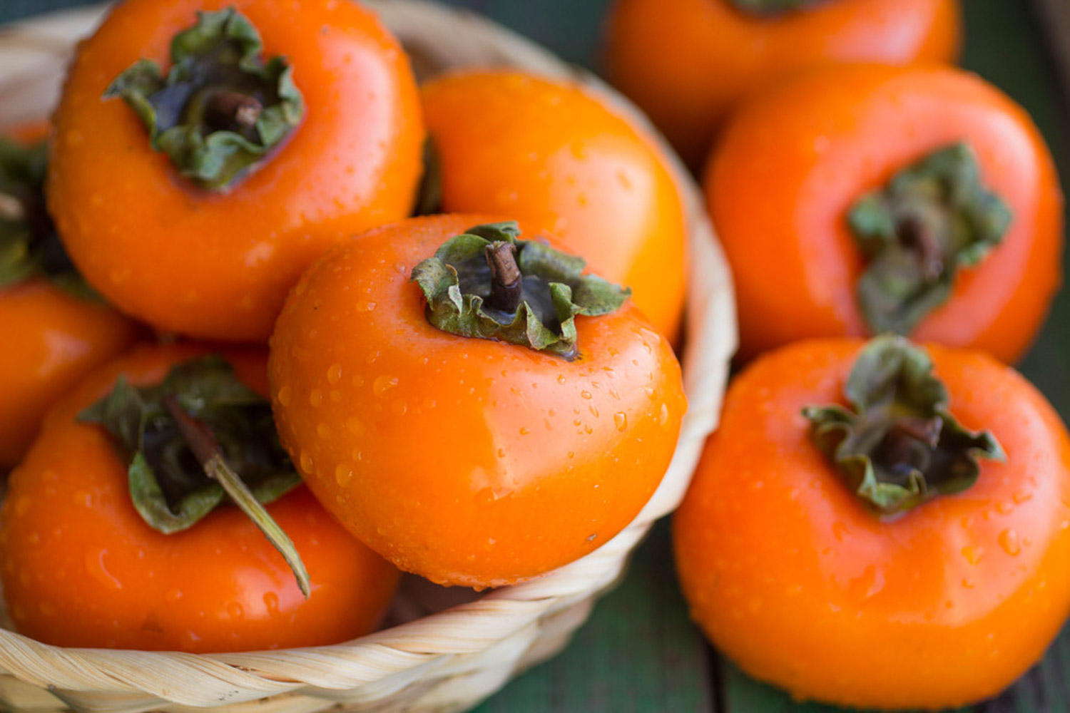 Persimmon tree