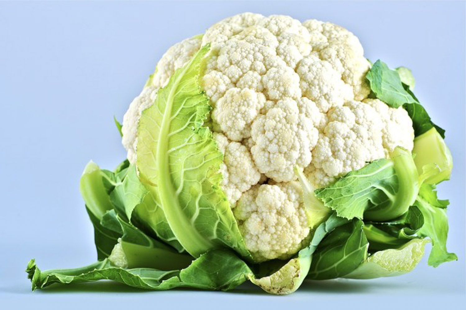 cauliflower