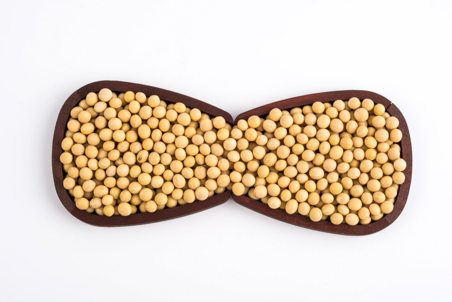 soybean