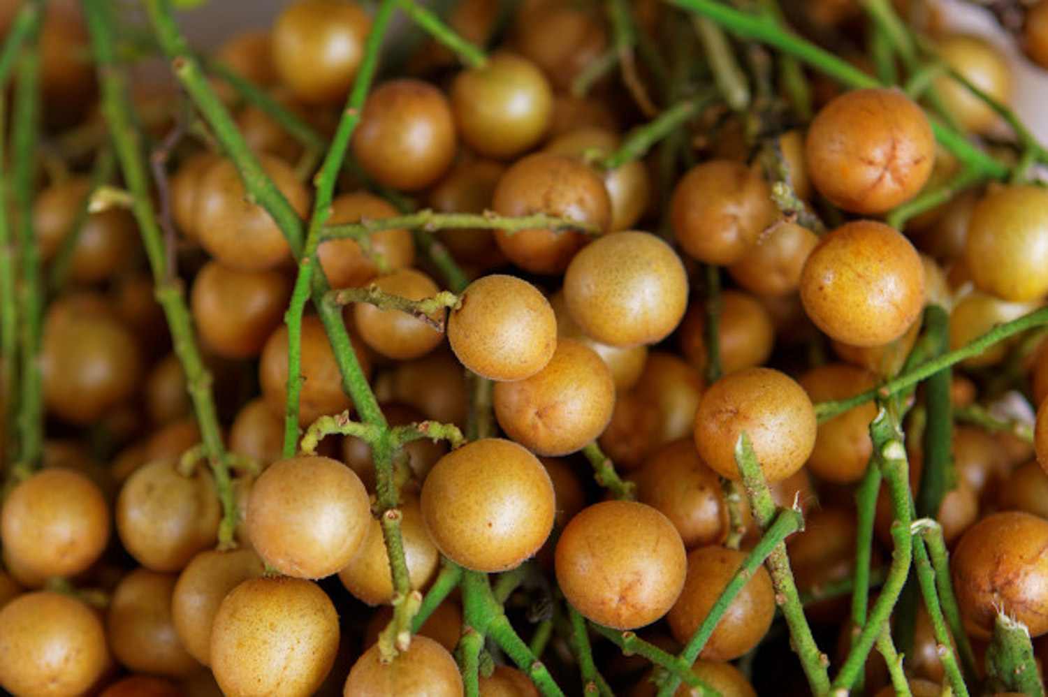 Yellow peel fruit