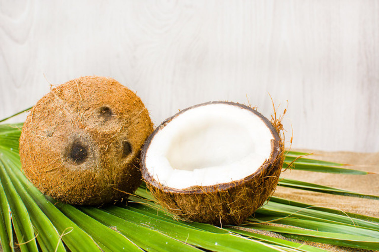 Coconut