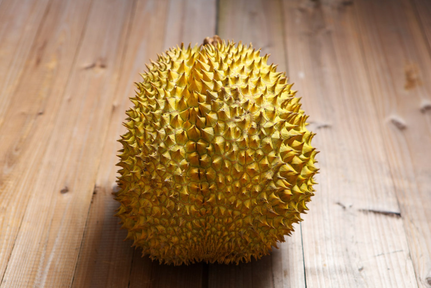 Durian