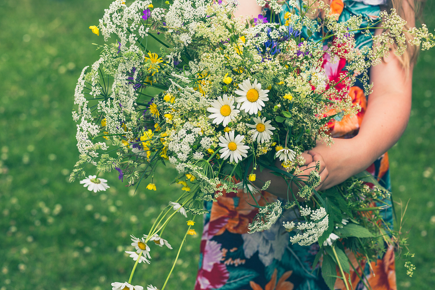 Fresh cut flowers