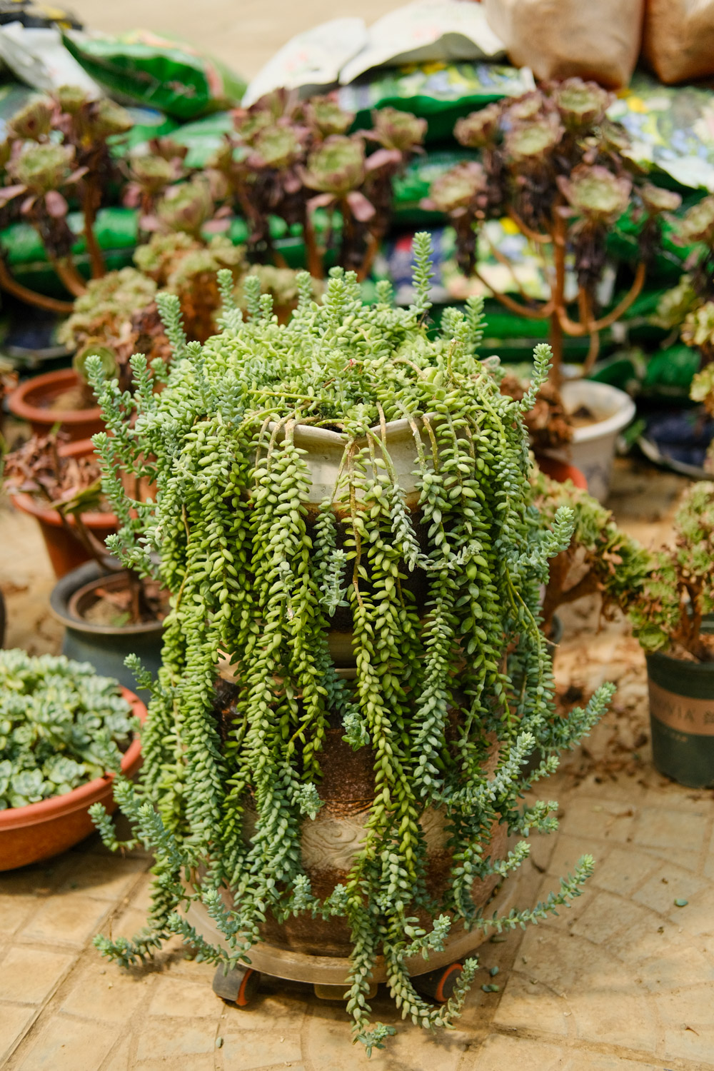 Jade decoration