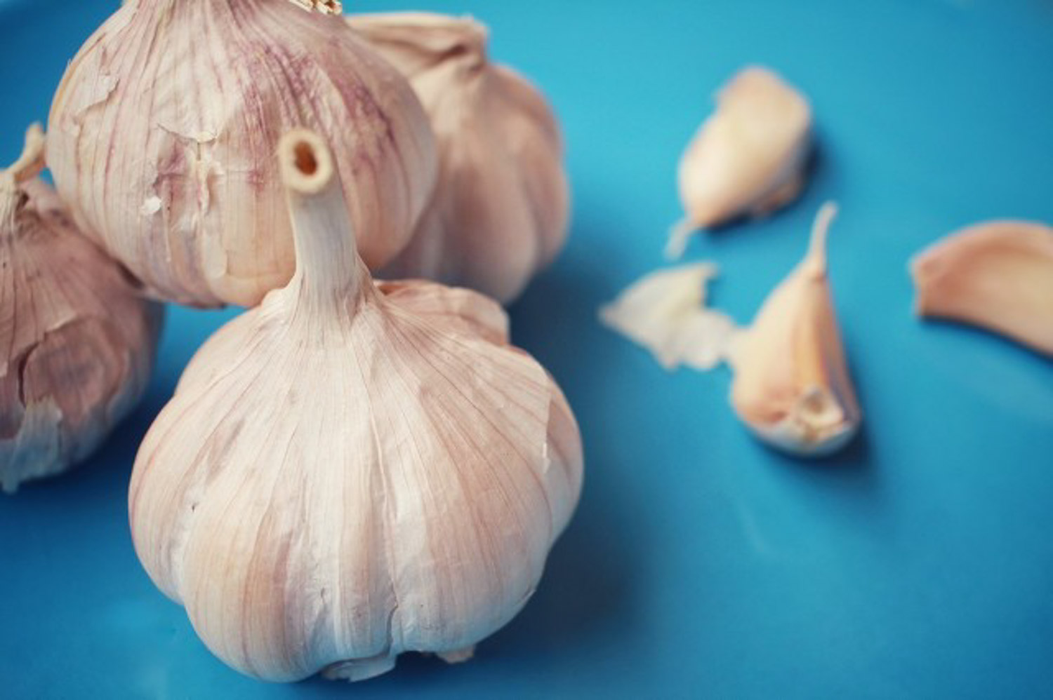 garlic