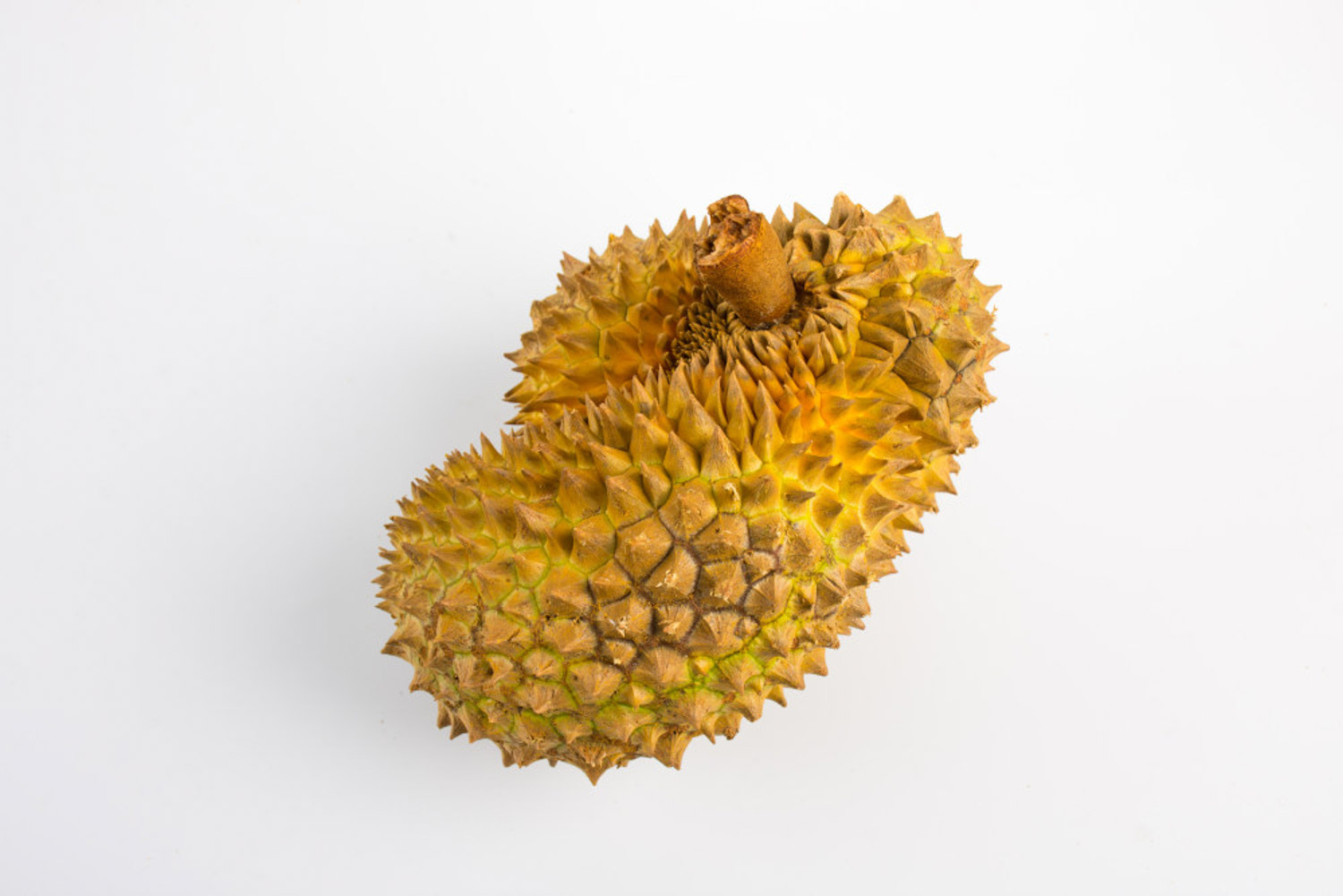 Durian