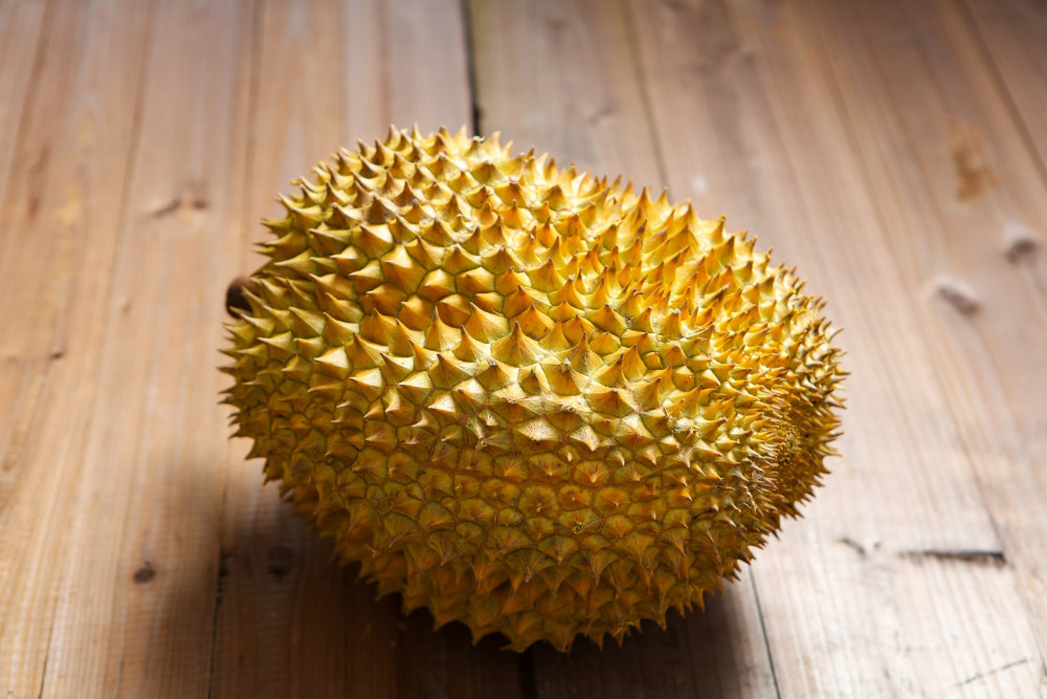 Durian