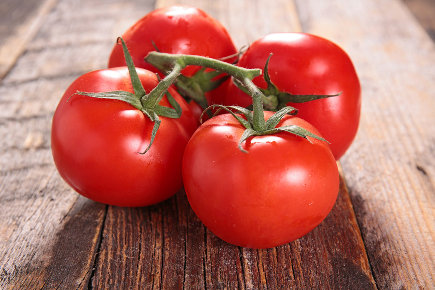 tomato