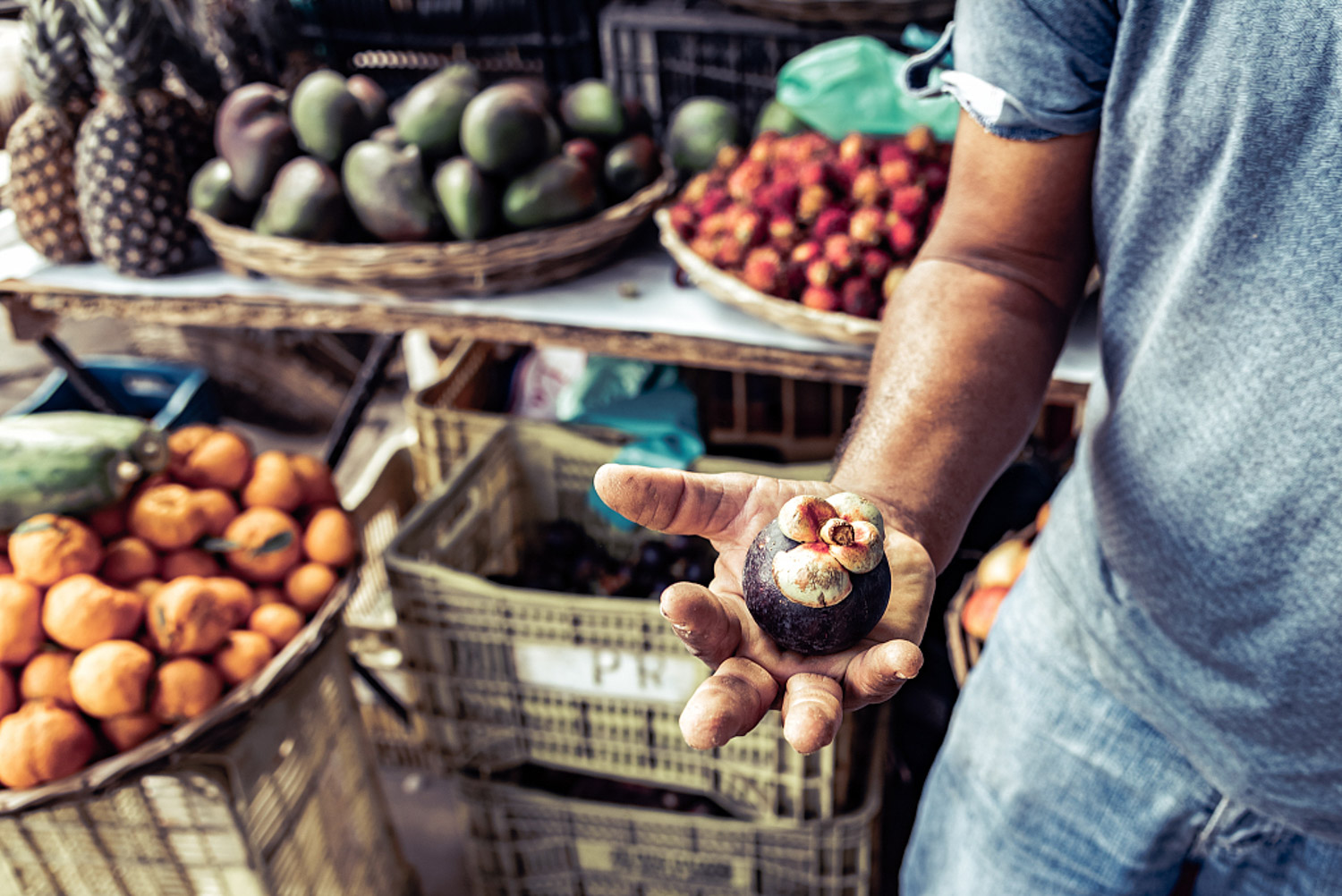 Mangosteen