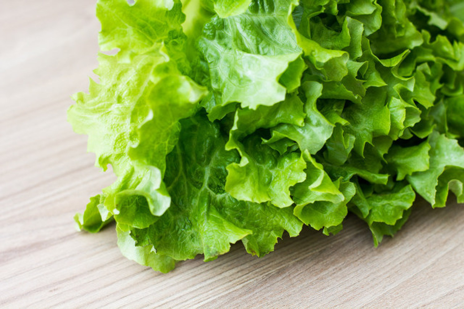 romaine lettuce