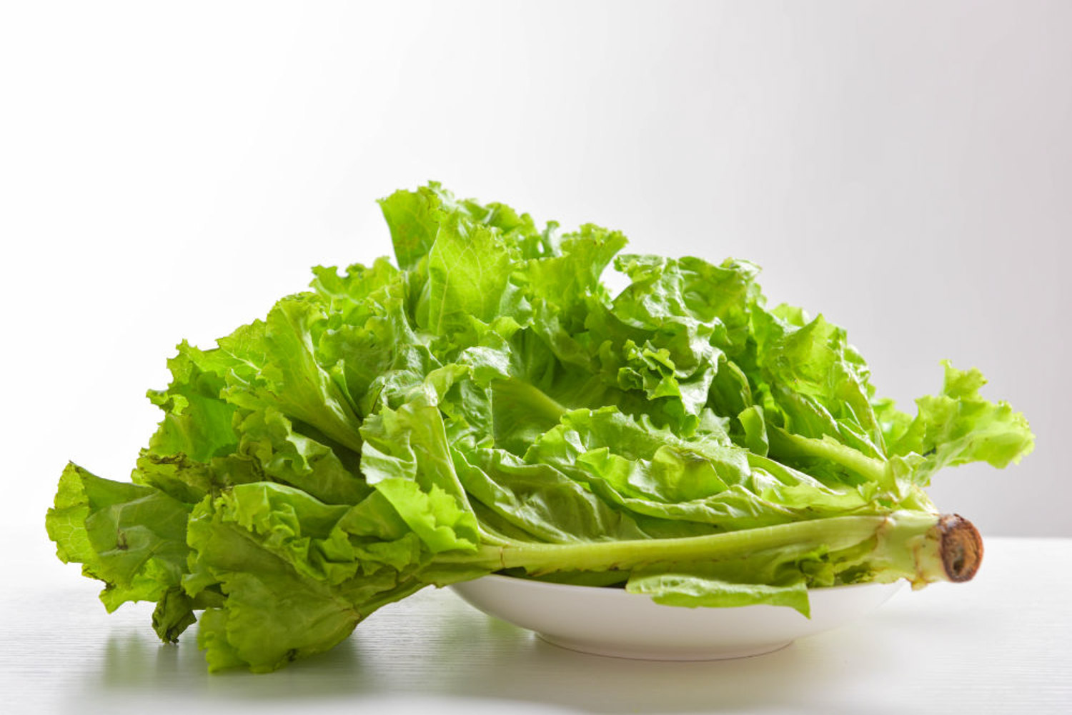 romaine lettuce