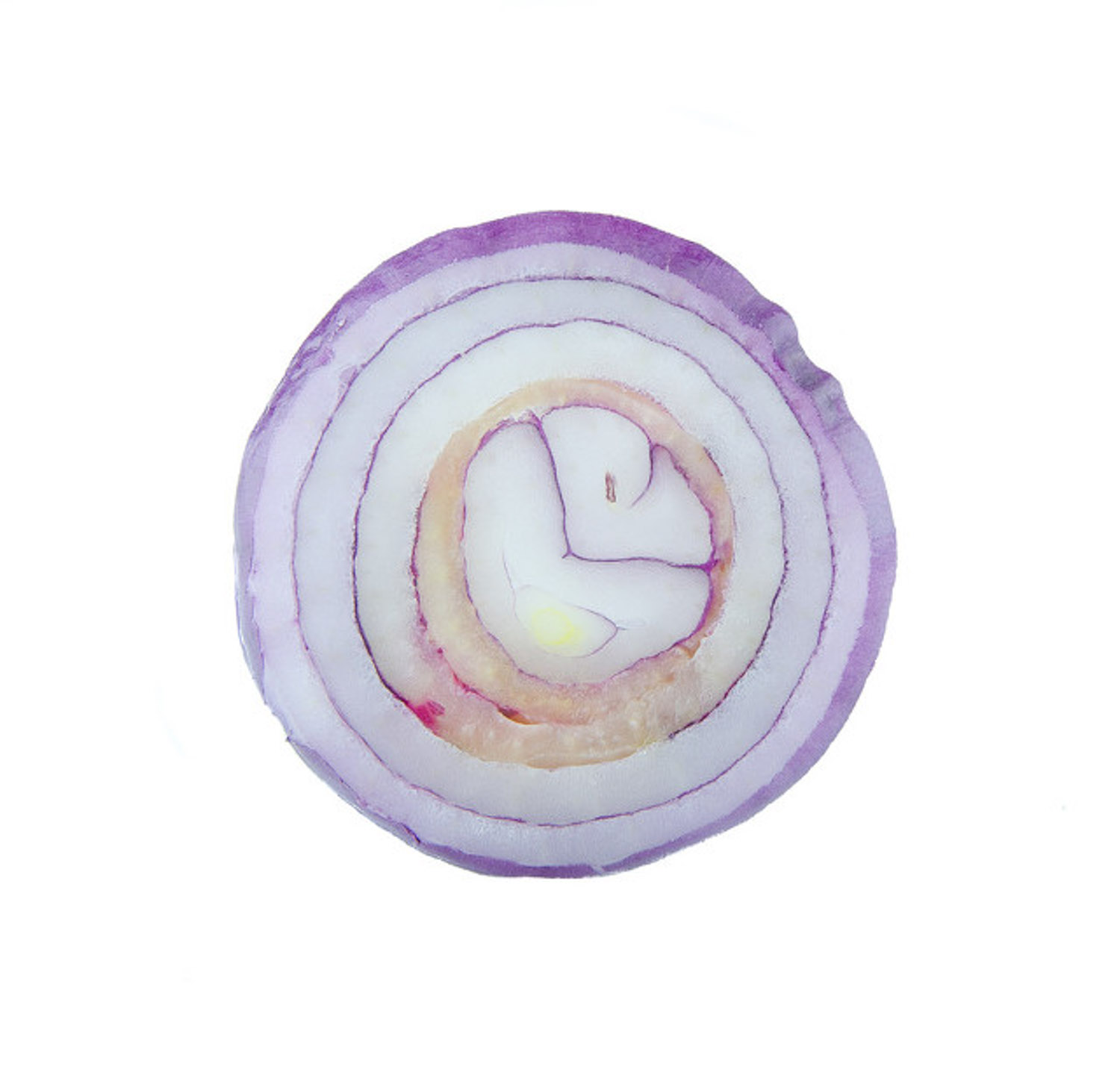 onion