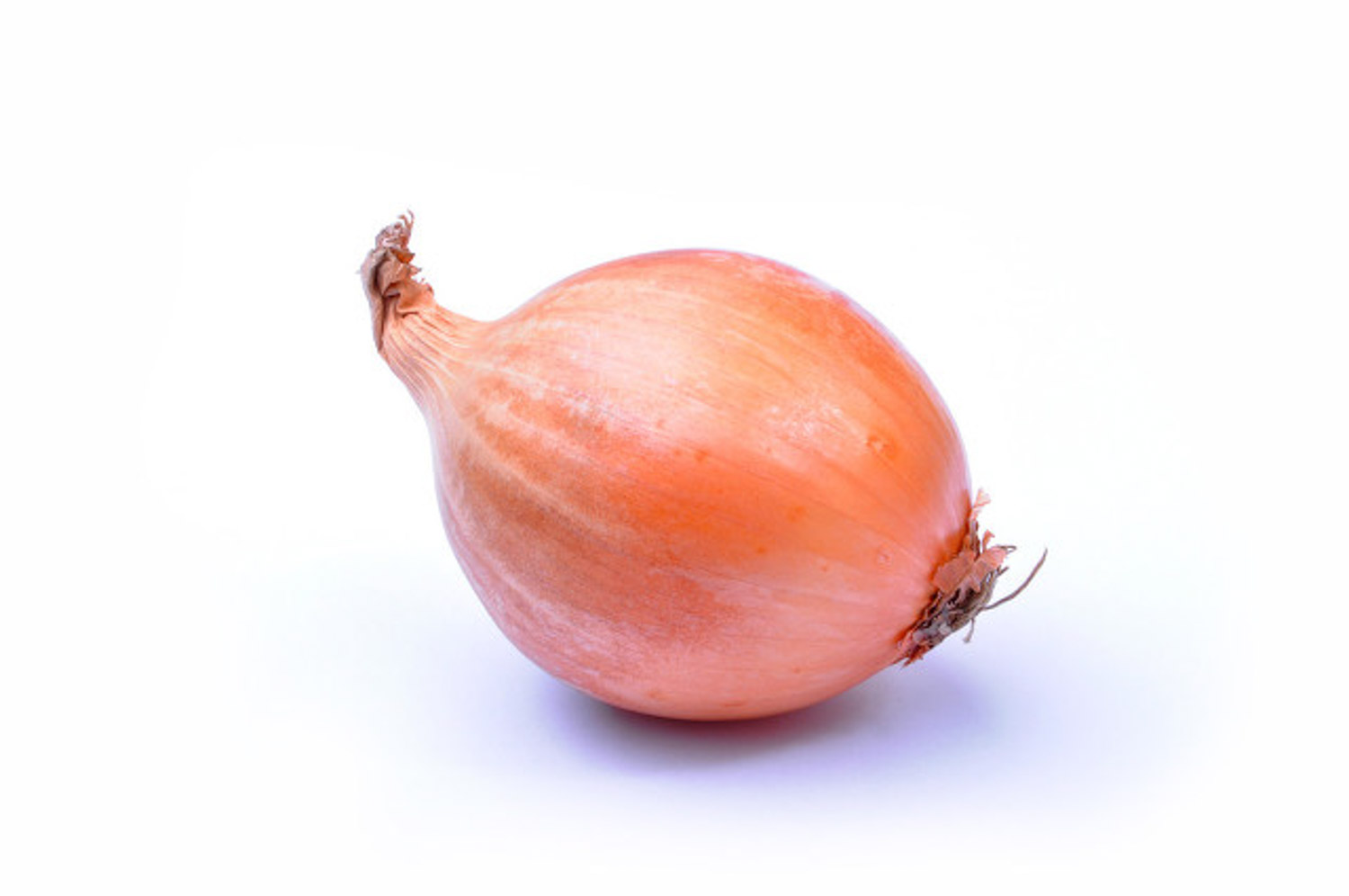 onion