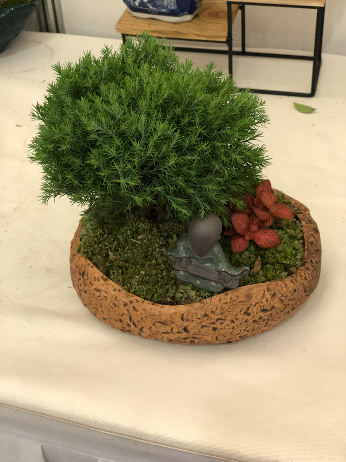 bonsai