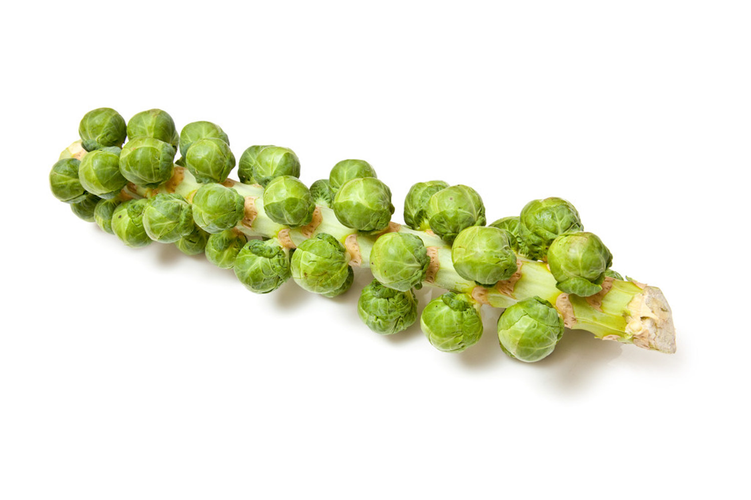 Brussels sprouts