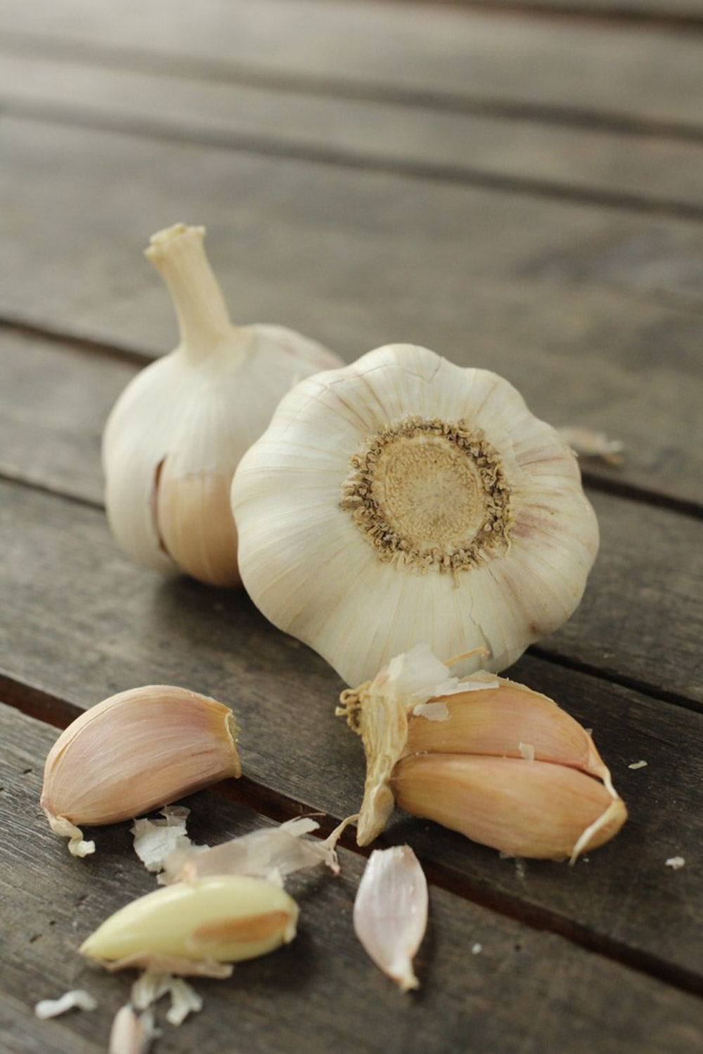 garlic