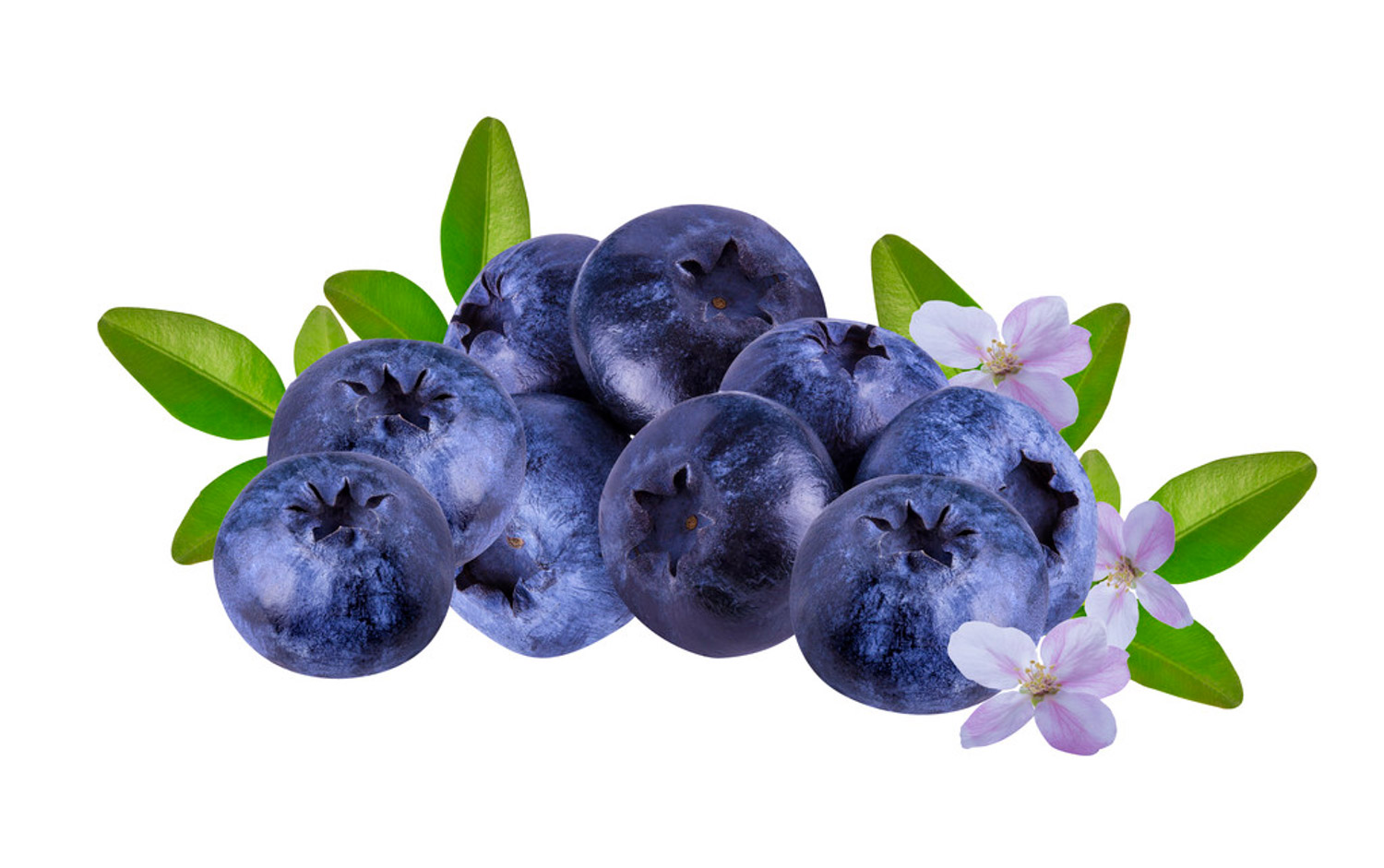 Blueberry