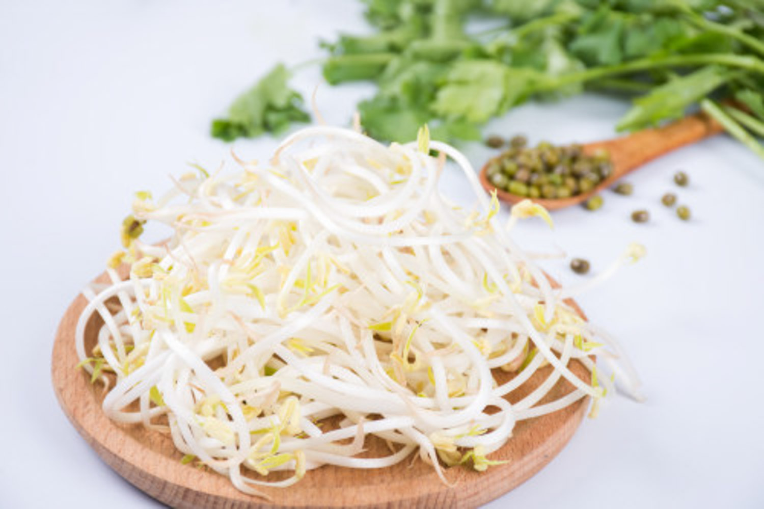 Bean sprouts