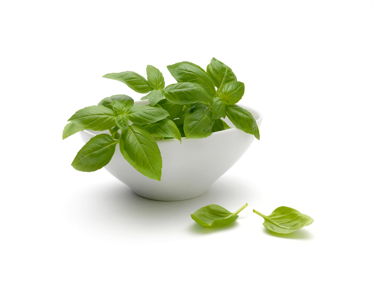 sweet basil